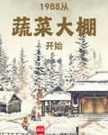 1988从蔬菜大棚开始