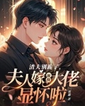 渣夫别跪了,夫人嫁顶级大佬显怀啦
